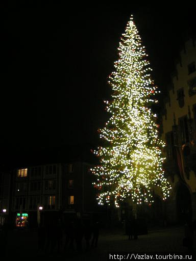 Главная ёлка перед ратушей Франкфурт-на-Майне, Германия