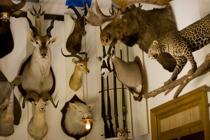Музей охоты и природы / Musée de la Chasse et de la Nature