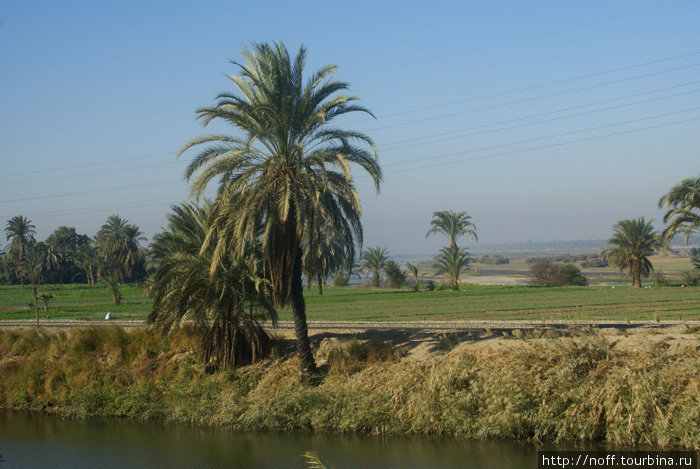 По дороге в Луксор
На горизонте виден Нил Кусейр, Египет