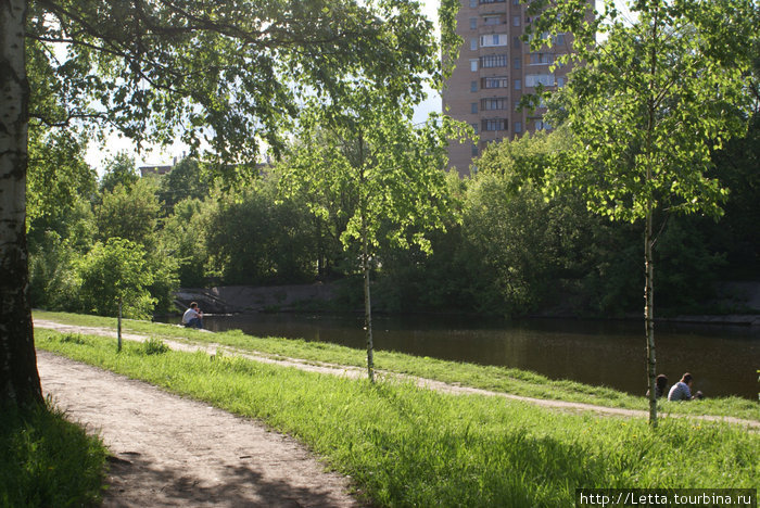 Московский парк в конце мая Москва, Россия