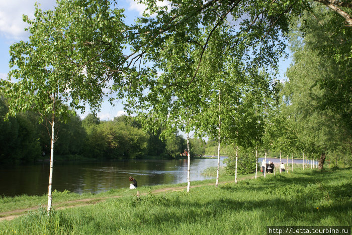 Московский парк в конце мая Москва, Россия