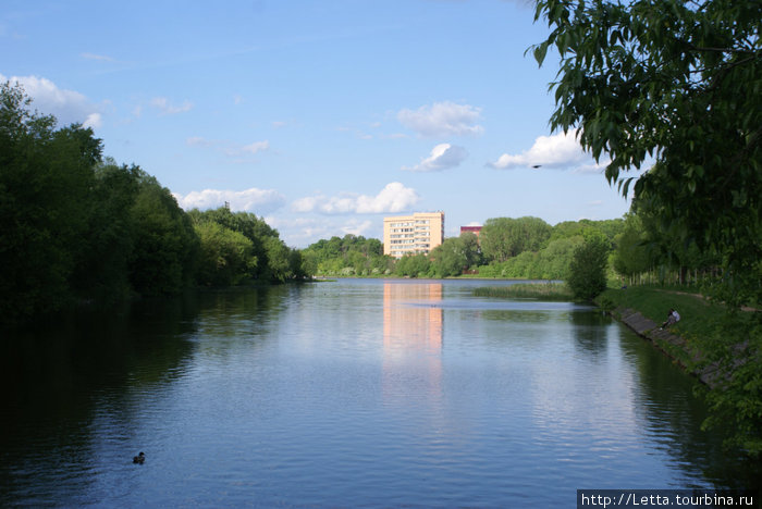 Московский парк в конце мая Москва, Россия