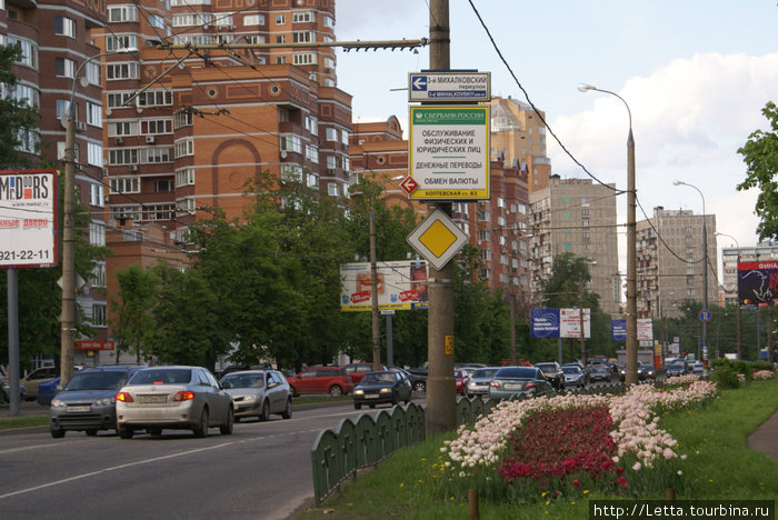 Московский парк в конце мая Москва, Россия