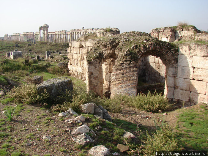 Жители города предпочитали проводить свободное время в хамаме Афамия, Сирия