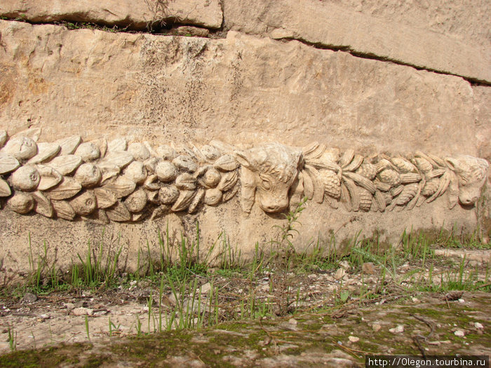 Бычок на камне Афамия, Сирия