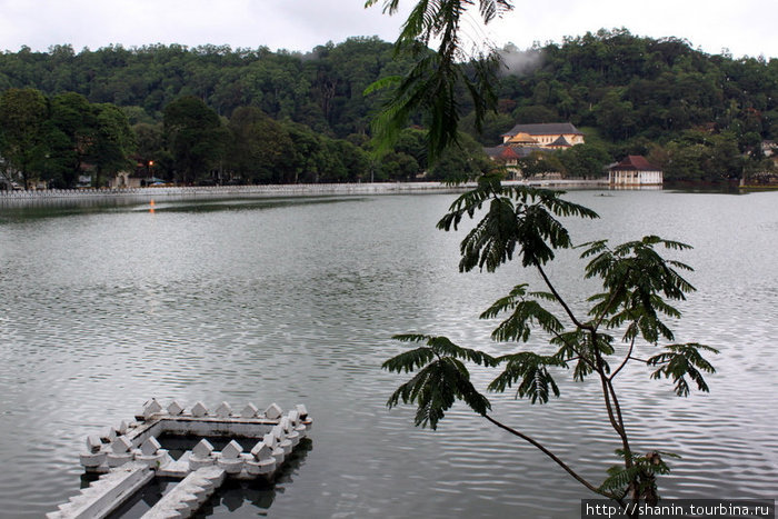 На озере Канди, на противоположном берегу — храм Зуба Канди, Шри-Ланка