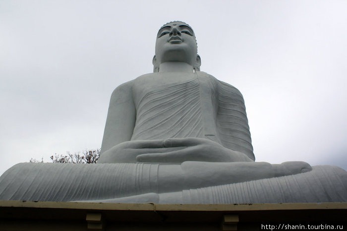 Гигантская статуя Будды Канди, Шри-Ланка