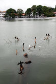 На озере Канди всегда много птиц