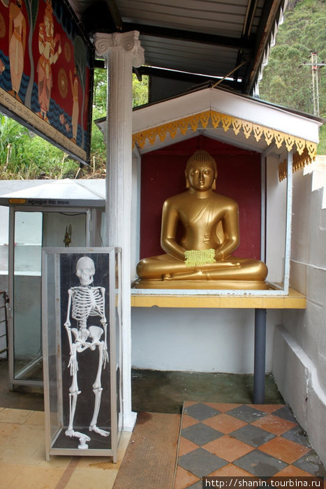 Будда и скелет Шри Пада Пик (Пик Адама 2243м)  заповедник дикой природы, Шри-Ланка