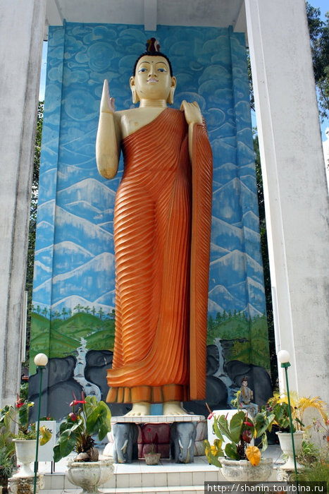 Стоящий Будда Шри Пада Пик (Пик Адама 2243м)  заповедник дикой природы, Шри-Ланка