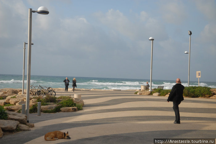 Набережная Тель-Авив, Израиль
