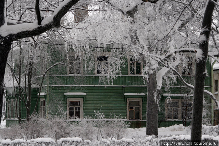 И обчный деревянный домик будто запутался в белых водорослях — ветках. Петергоф, Россия