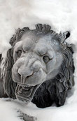 Под толщей снега прячутся не медведи, а львы!