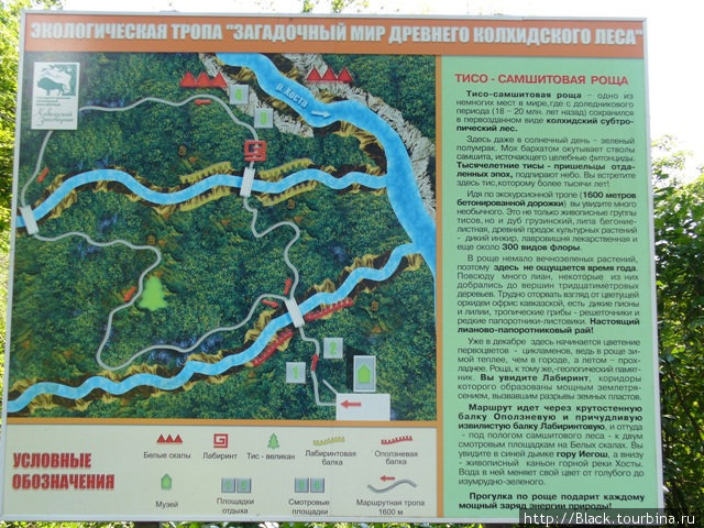 Схема экологической тропы Сочи, Россия