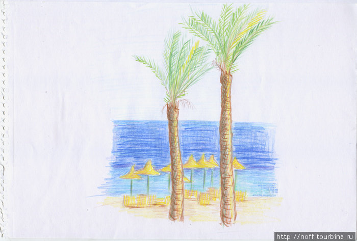 Самые большие пальмы на территории гостиницы. Вообще тяжело там садовникам приходится, попробуй оазис в пустыне сделать. Египет