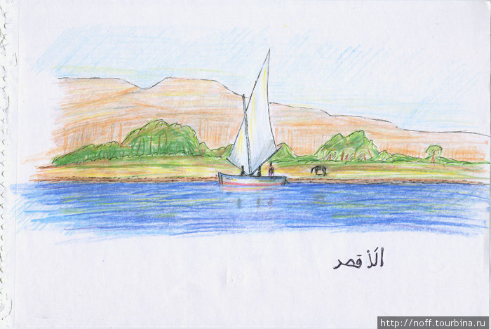 Нил в районе Луксора похож на Волгу в конце августа. Тоже цветёт. Египет