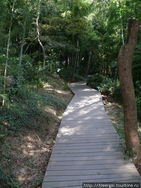 Поднявшись по лестнице, мы проследовали к «тренировочной поляне» и «месту для шашлыка» по деревянной тропинке. Шанхай, Китай