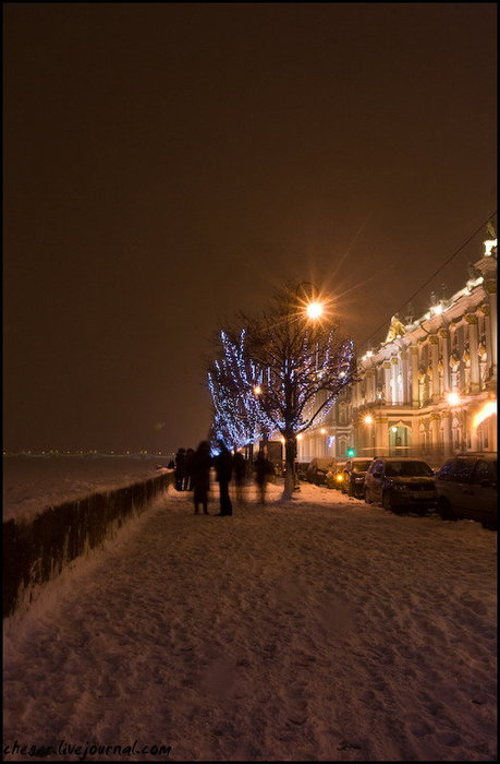 Практически все деревья в городе украшены вот такими огоньками с капающими сосульками Санкт-Петербург, Россия