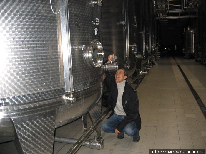 Завод шампанских вин Феррари Тренто, Италия