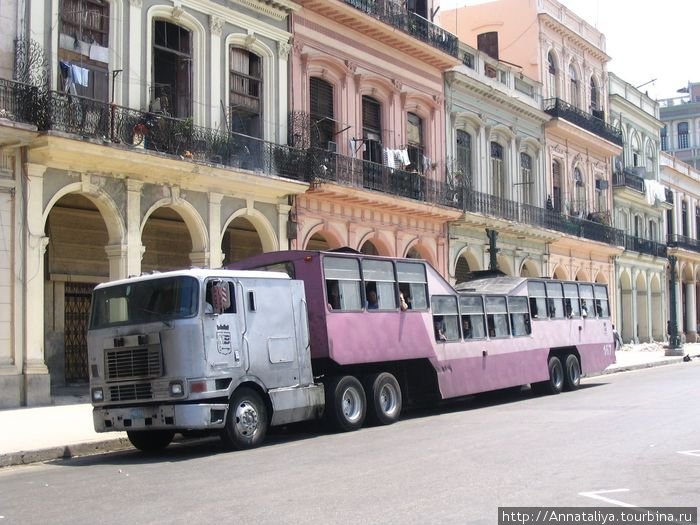А это уже транспорт общественный — автобус. А называется он Верблюд! Куба