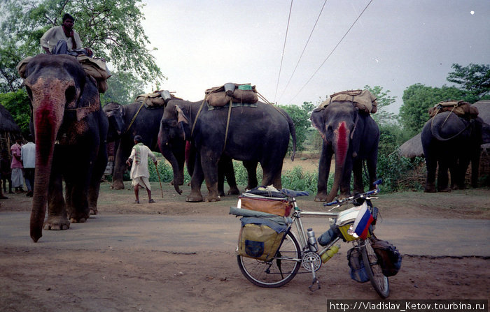 По улице слонов водили... Индия