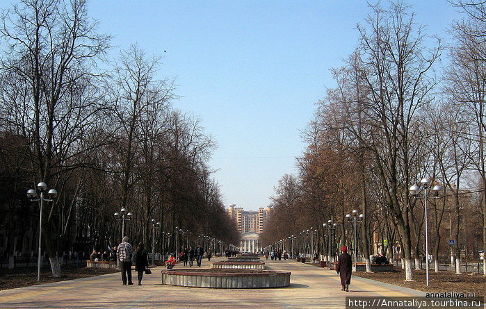 Или вот, перешехождная зона в центре города! Жуковский, Россия