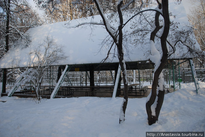 Зима, Нескучный сад Москва, Россия