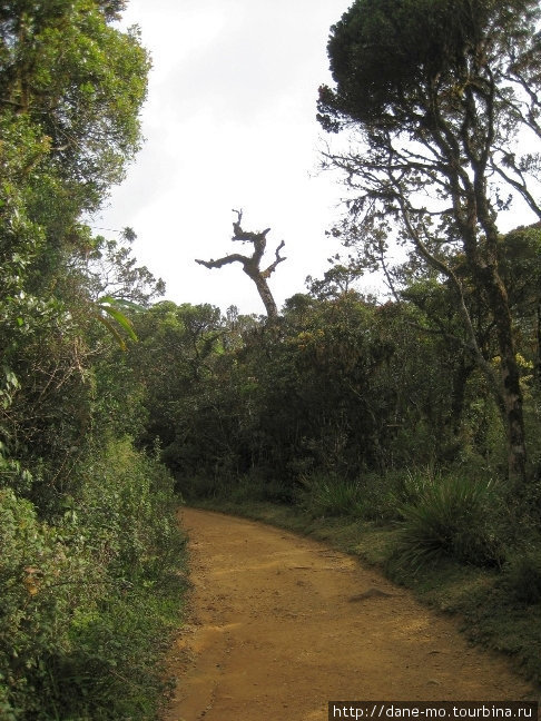 Плато Хортона. Часть 2 Хортон-Плэйнс Национальный Парк, Шри-Ланка