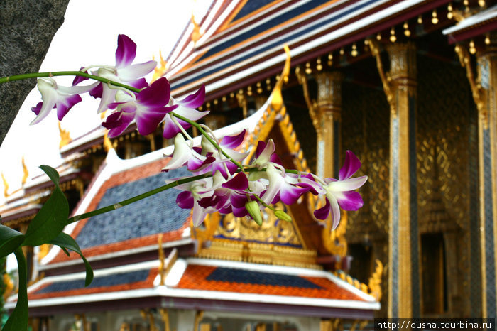 В королевском дворце,Бангкок Таиланд