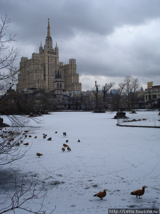Московский зоопарк и его обитатели в начале марта Москва, Россия