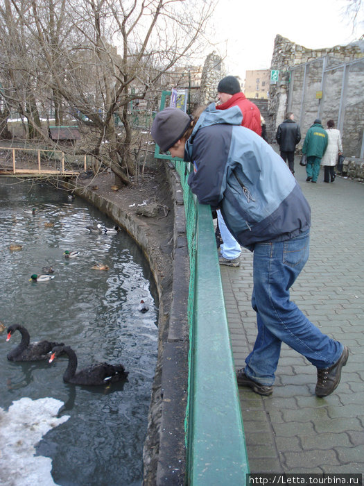 Московский зоопарк и его обитатели в начале марта Москва, Россия