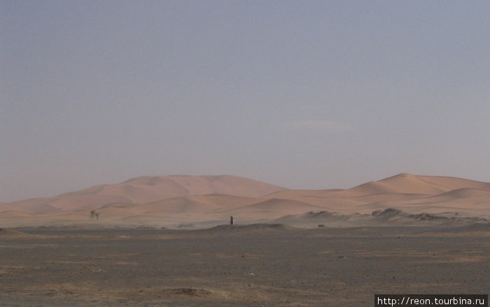 Эрг Шебби издалека. На переднем плане видна обычная каменистая пустыня, окружающая его со всех сторон Область Мекнес-Тафилалет, Марокко