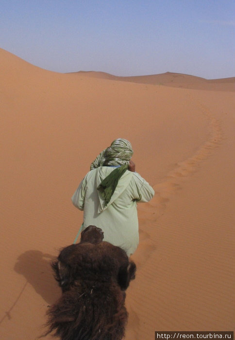 Поехали! Верблюд одноместный, погонщик всю дорогу идет пешком Область Мекнес-Тафилалет, Марокко