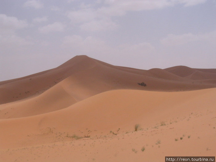 Формы дюн очень пластичны и изящны, даже можно сказать — эротичны Область Мекнес-Тафилалет, Марокко