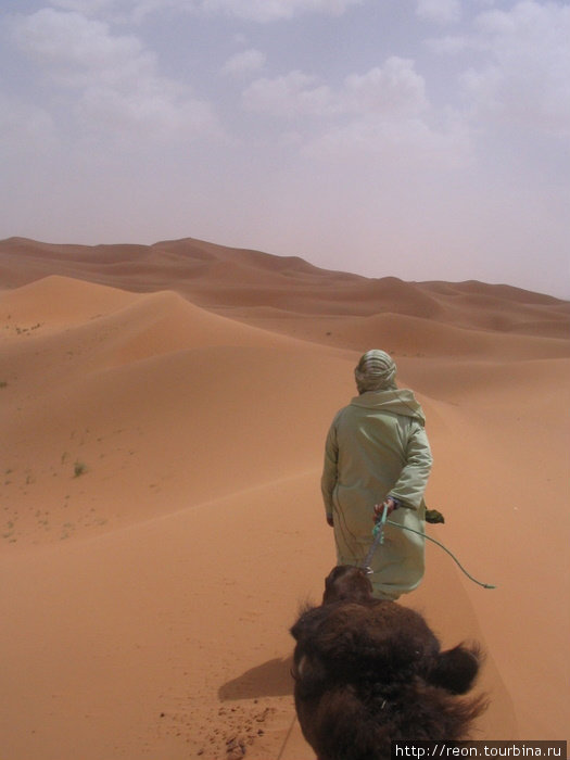 Путешествие по пустыне проходило верхом на верблюде Область Мекнес-Тафилалет, Марокко