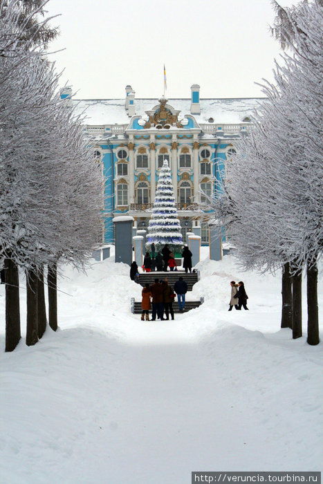 Аллея. Пушкин, Россия