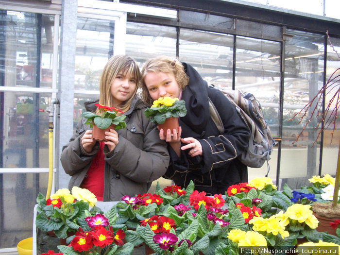 Дети — цветы моей жизни Германия