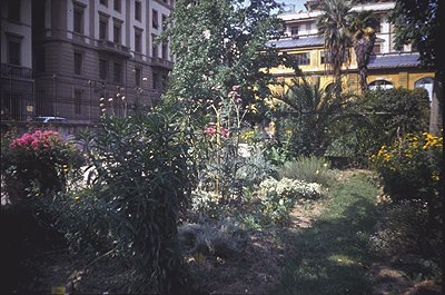 Ботанический сад / Orto Botanico di Firenze