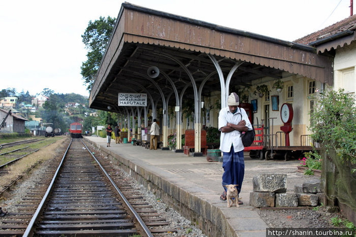Станция Хапутале Шри-Ланка
