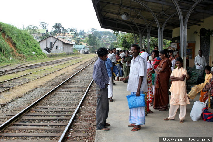 В ожидании поезда Шри-Ланка
