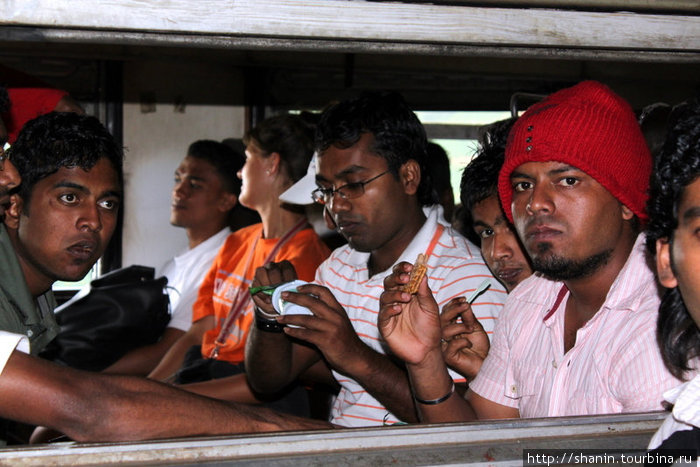 Пассажиры Шри-Ланка