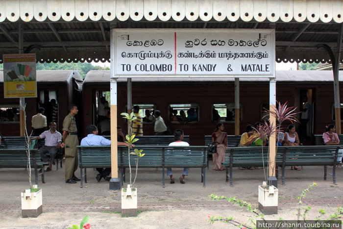 Станция пересадки — Перадения Джанкшен Шри-Ланка