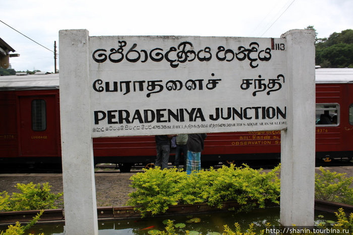На станции Перадения, недалеко от Канди Шри-Ланка