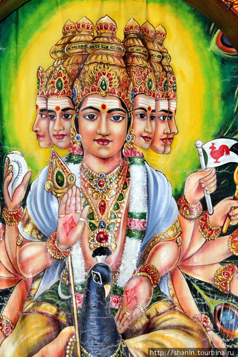 Индуистский бог Вишну — с многими лицами, верхом на павлине Бадулла, Шри-Ланка