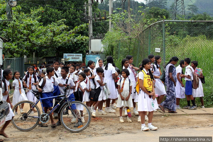 Уроки закончились, школьники расходятся по домам Бадулла, Шри-Ланка