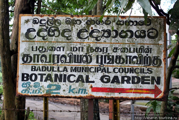 Указатель направления на Ботанический сад (английский) Бадулла, Шри-Ланка