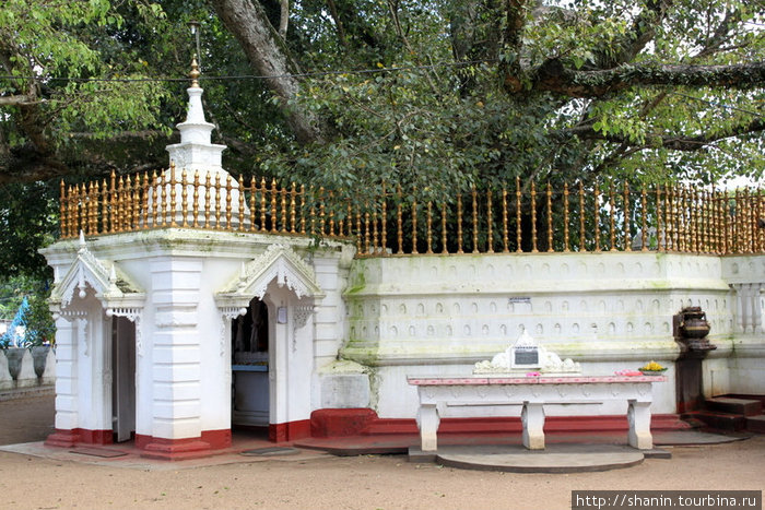 Жертвенник у священного дерева бодхи Бадулла, Шри-Ланка