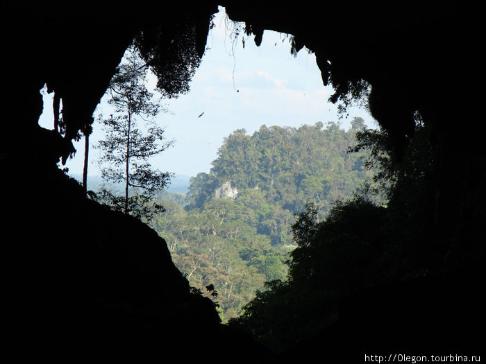 Из тёмной пещеры на белый свет... Штат Саравак, Малайзия
