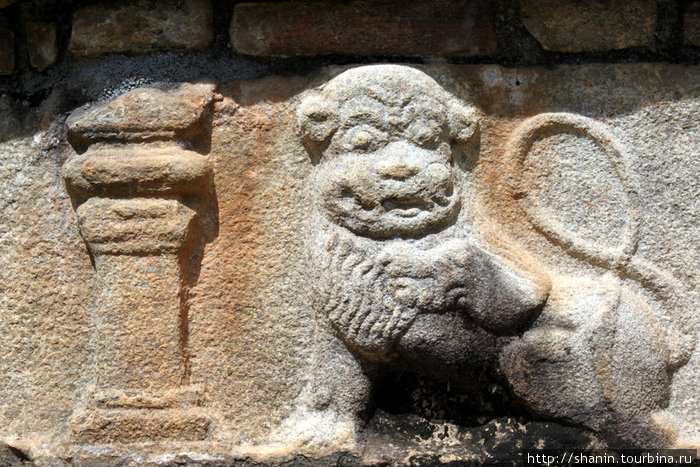 Каменный лев. Дев — символ сингалов, поэтому его изображение на памятниках встречается очень часто Полоннарува, Шри-Ланка