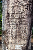 Камень с текстом на сингальском языке